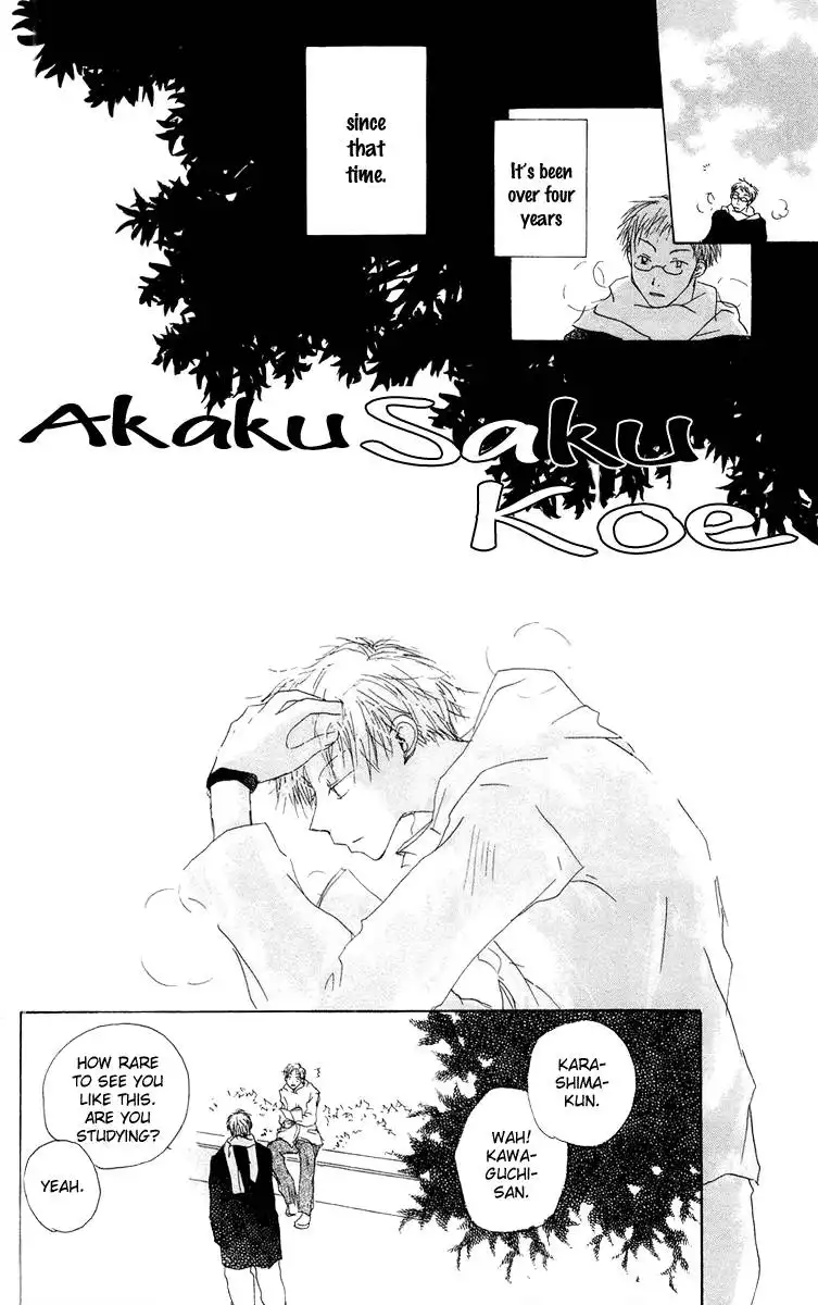 Akaku Saku Koe Chapter 12
