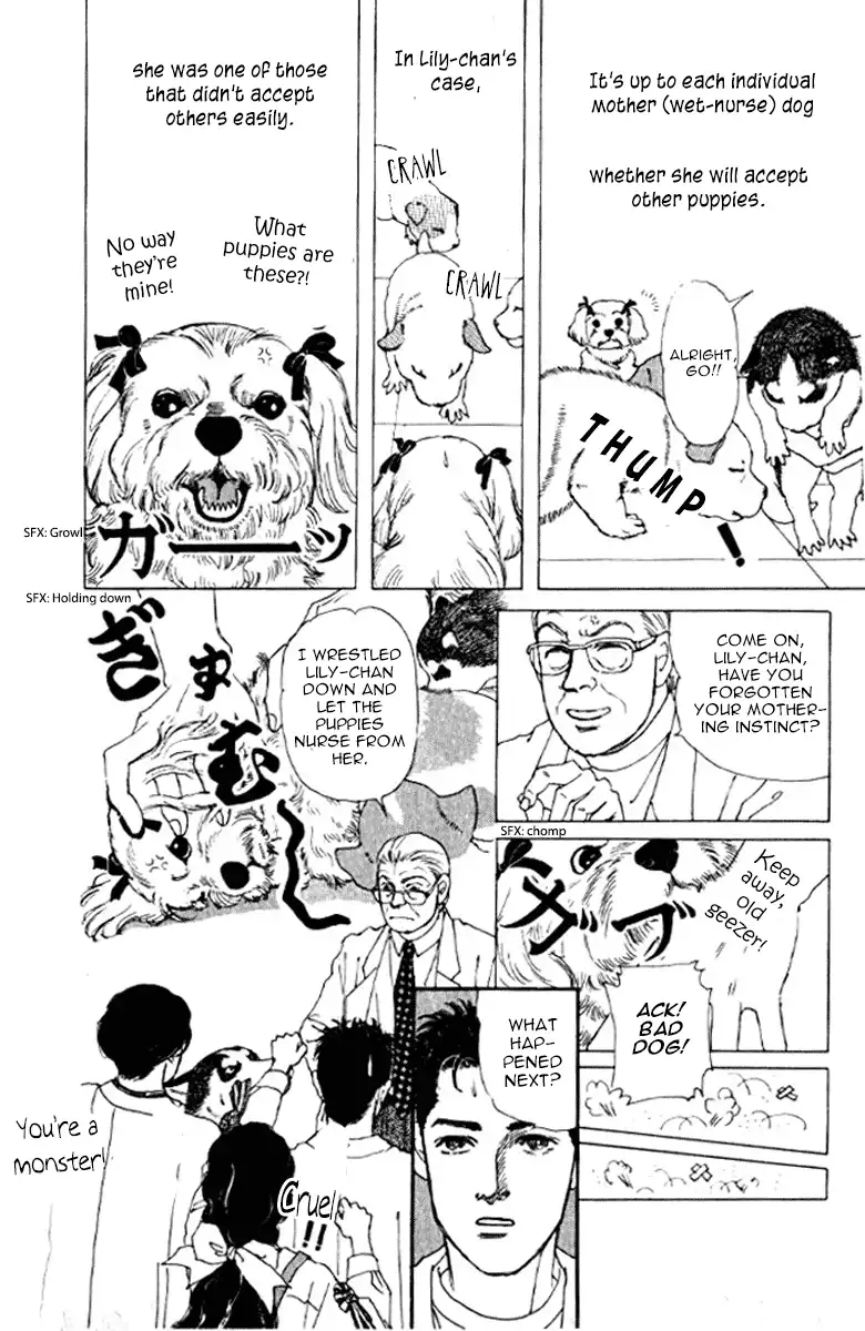 Doubutsu no Oishasan Chapter 72