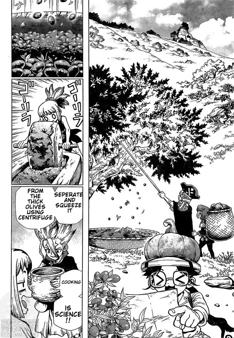 Dr. Stone Chapter 202