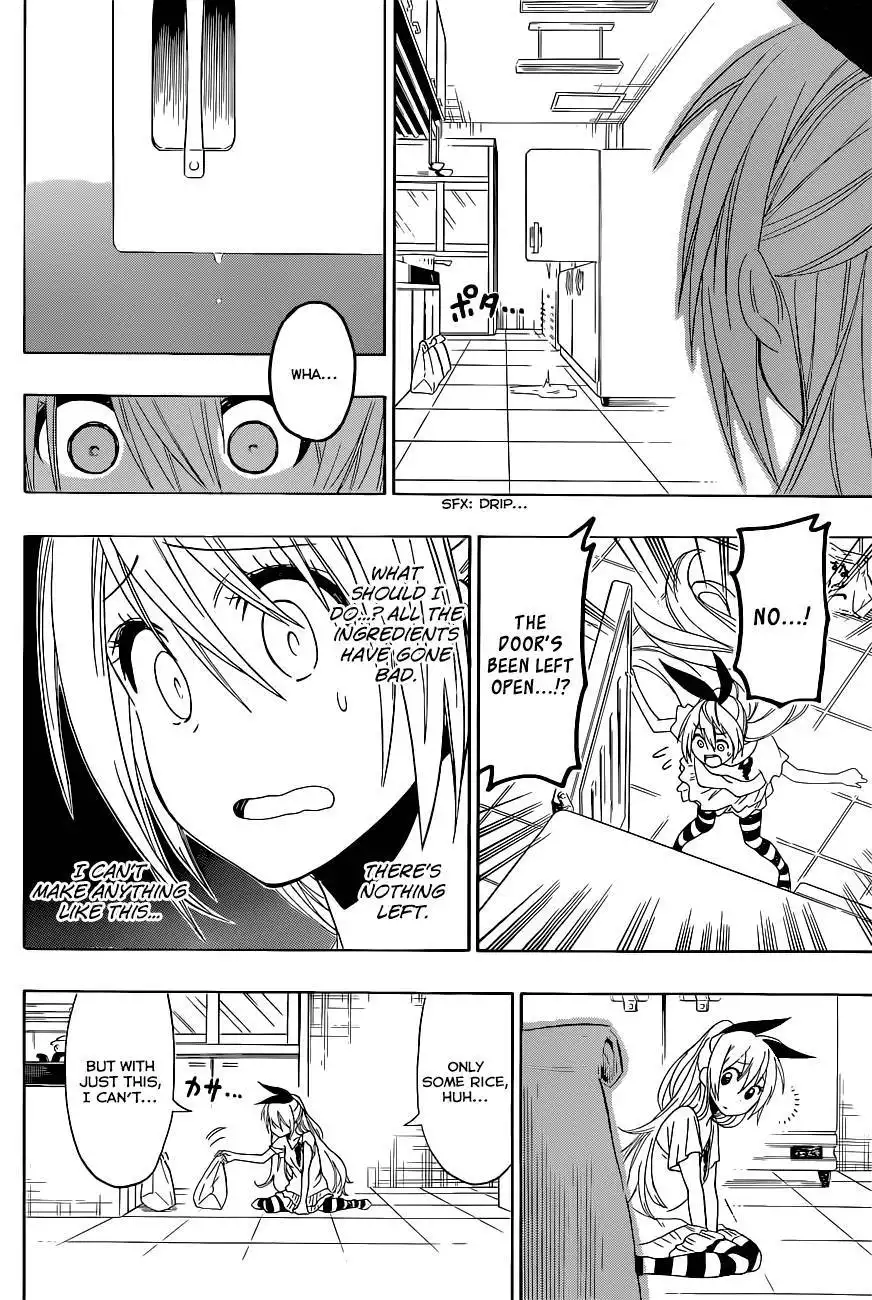 Nisekoi Chapter 116