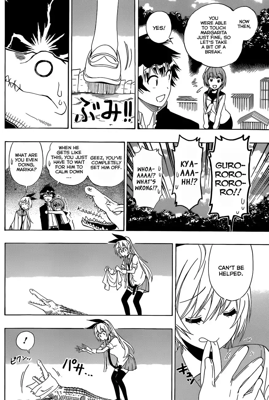 Nisekoi Chapter 142