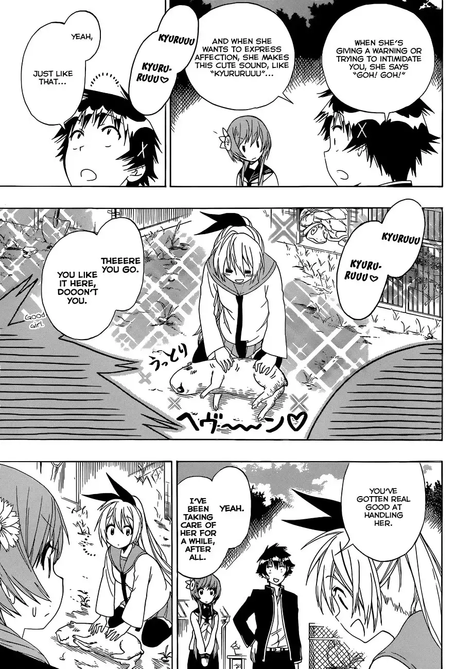 Nisekoi Chapter 142