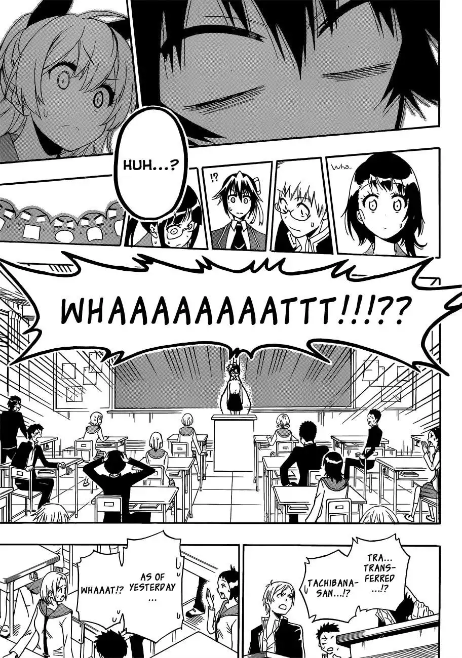 Nisekoi Chapter 181