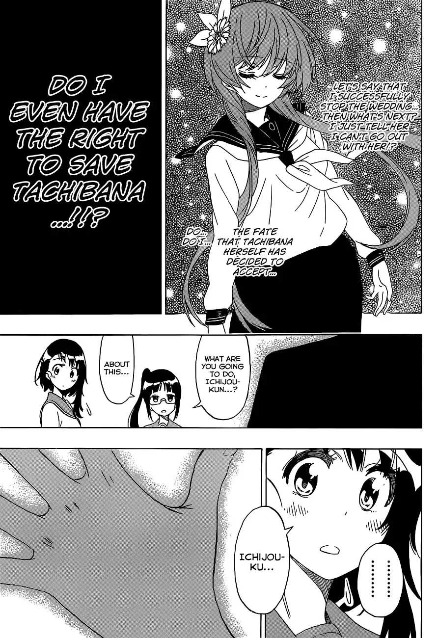 Nisekoi Chapter 182