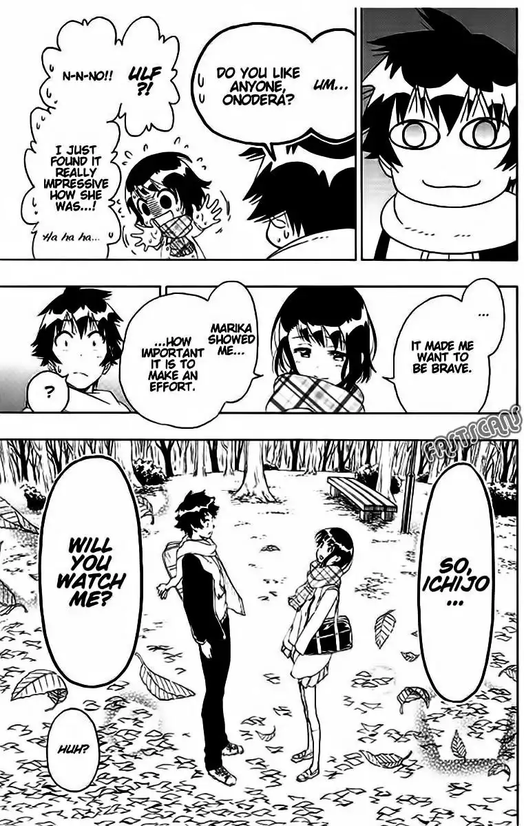 Nisekoi Chapter 196