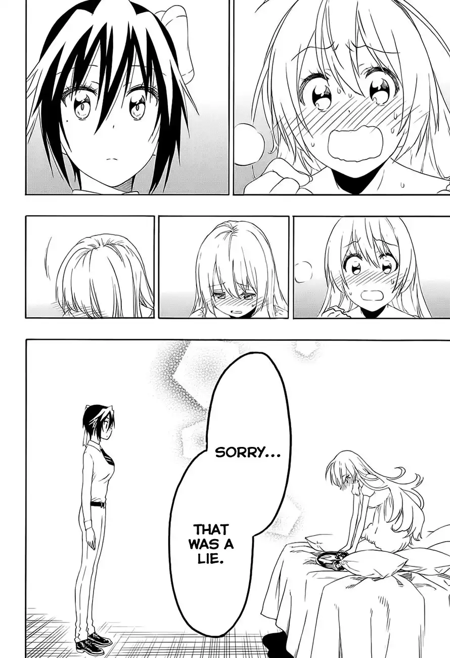 Nisekoi Chapter 206