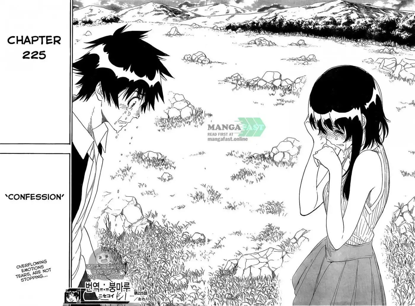 Nisekoi Chapter 225