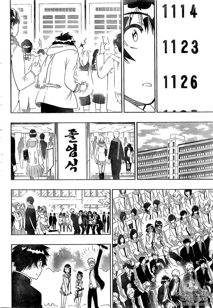 Nisekoi Chapter 228