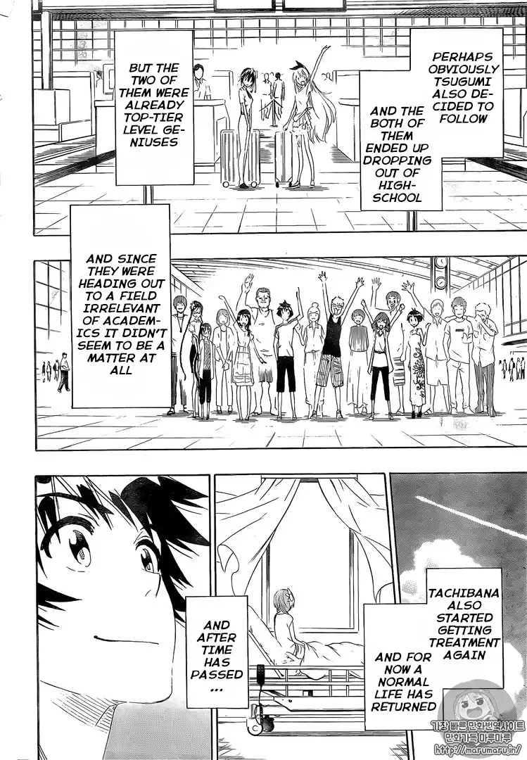 Nisekoi Chapter 228