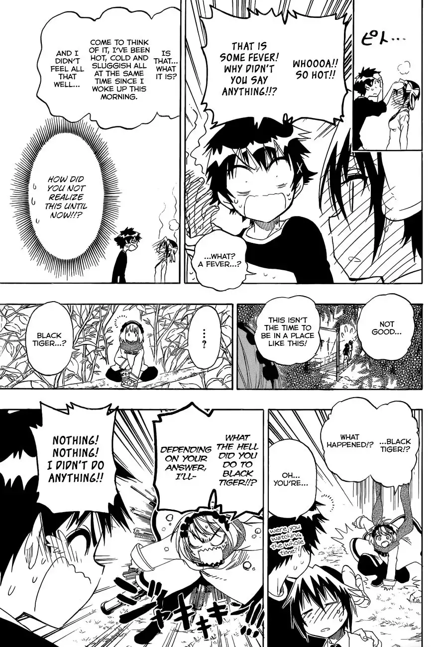 Nisekoi Chapter 80